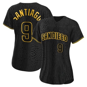 BENITO SANTIAGO San Diego Padres 1989 Majestic Throwback Jersey (M, L, XL,  2XL) - SportsCare Physical Therapy